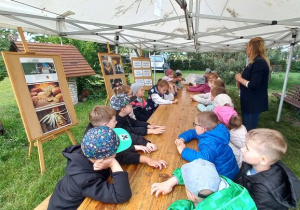 Zdjęcie 1 na 47