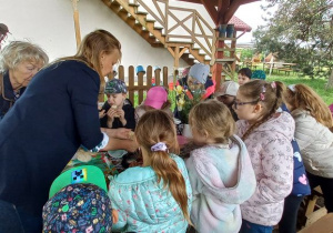 Zdjęcie 16 na 47