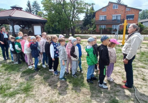 Zdjęcie 29 na 47