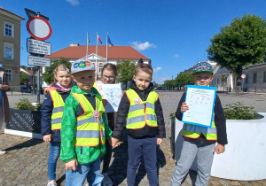 Zdjęcie 10 na 23