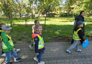 Zdjęcie 16 na 23