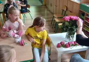 Zdjęcie 4 na 19