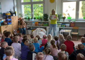 Zdjęcie 3 na 28