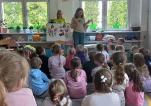 Zdjęcie 17 na 28