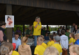 Zdjęcie 1 na 52