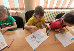 Zdjęcie 8 na 14