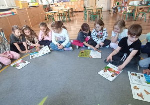Zdjęcie 5 na 39