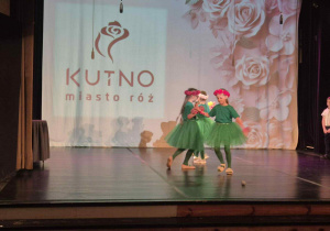 Zdjęcie 2 na 14