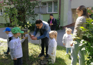 Zdjęcie 26 na 47