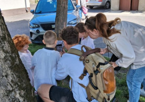 Zdjęcie 3 na 47