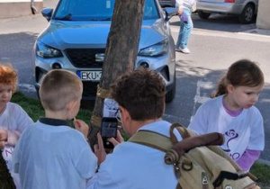 Zdjęcie 11 na 47