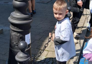 Zdjęcie 4 na 47