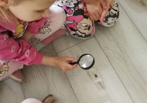Zdjęcie 2 na 7