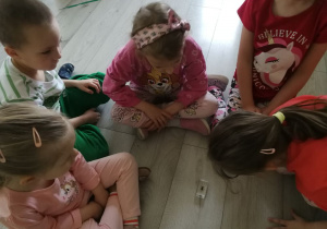 Zdjęcie 3 na 7
