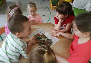Zdjęcie 5 na 7