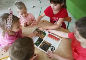 Zdjęcie 6 na 7