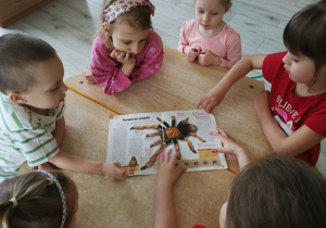 Zdjęcie 7 na 7