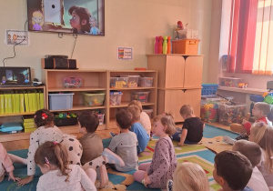 Zdjęcie 1 na 8