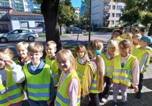 Zdjęcie 3 na 9