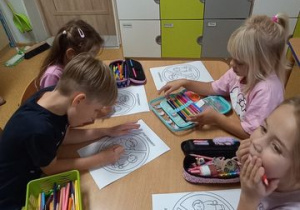Zdjęcie 15 na 17