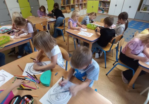 Zdjęcie 17 na 17