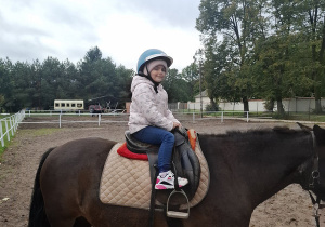 Zdjęcie 11 na 33