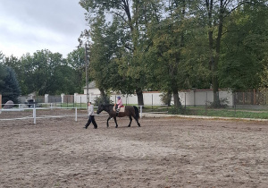 Zdjęcie 13 na 33