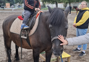 Zdjęcie 15 na 33