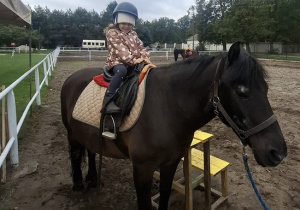 Zdjęcie 20 na 33
