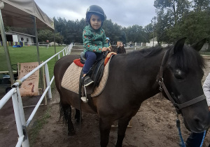 Zdjęcie 26 na 33