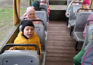 Zdjęcie 40 na 50