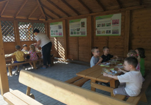 Zdjęcie 2 na 6