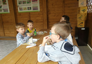 Zdjęcie 6 na 6