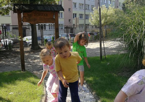 Zdjęcie 5 na 8