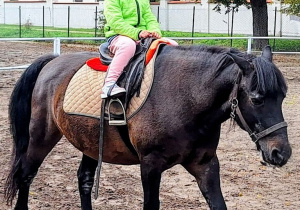 Wycieczka do Stajni u Kowala w Nieborowie.