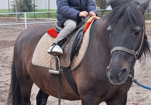 Wycieczka do Stajni u Kowala w Nieborowie.