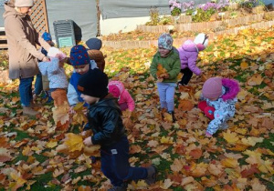 Dzieci oglądają liście klonu
