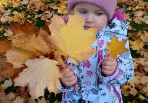 Michasia przypatruje się listkom