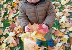 Jakub ogląda liście