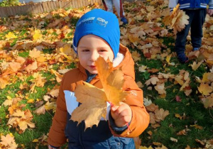 Wojtuś przygląda się listkom