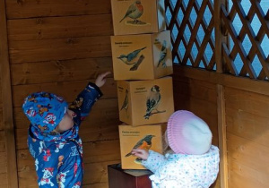 Dziewczynki oglądają ptaki na kostce