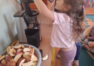 Dzień Jabłka w Tuptusiach