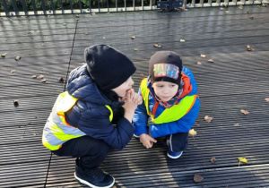 Tajna narada chłopców