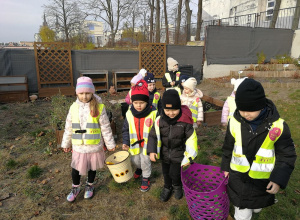 ,, Lazania cebulowa ".