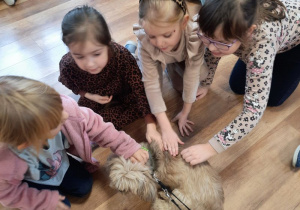 Dzieci głaszczą Bunię