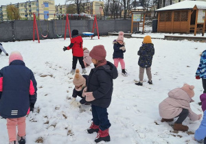 Buziaki bawią się na śniegu.