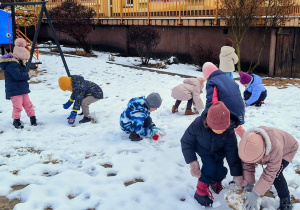 Buziaki bawią się na śniegu.