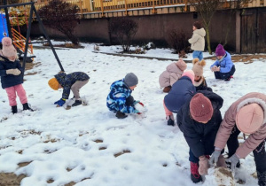 Buziaki bawią się na śniegu.