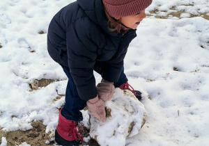 Buziaki bawią się na śniegu.