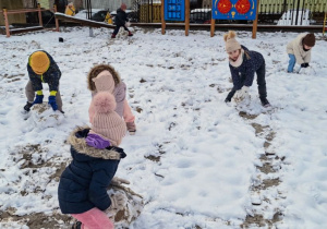 Buziaki bawią się na śniegu.